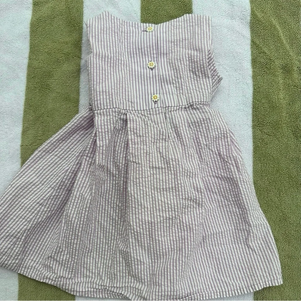 Gymboree Daisy Seersucker Dress